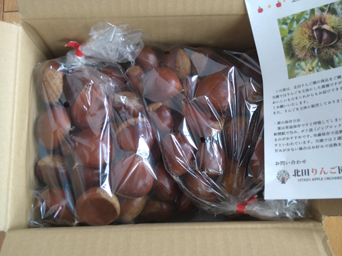 岩手県産】　ぽろたん　栗　約2kg(1kg×2袋)