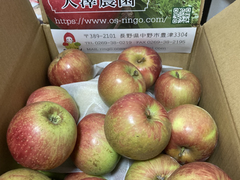 信州りんごプライスダウン🍎4キロ(ふじ小玉極小玉)