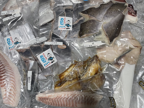 福ギフトセット(切り身、刺身MIX10袋)  【冬ギフト】