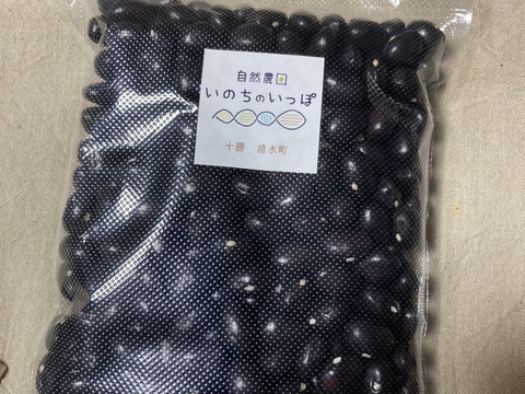 【数量限定】北海道2024年十勝産
珍しい！色々お豆の5種類セット