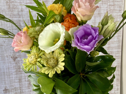 【仏花（メモリアルフラワー）お任せ】トルコキキョウ！季節の旬の花の仏花（シキビあり）お届け先対応可能！