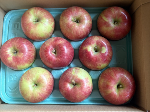 甘くて美味い！シナノスイート　長野県産　ご家庭用　約3kg(7個〜12個)