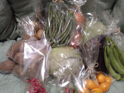 【お試しサイズ】山のミネラルたっぷり！ソノちゃんのこだわり野菜セット6〜7種