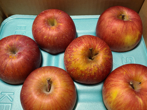 今でもパリパリ！！リンゴの王様『サンふじ』ご家庭用秀品約２kg　スマートフレッシュでもぎたて鮮度そのまま！