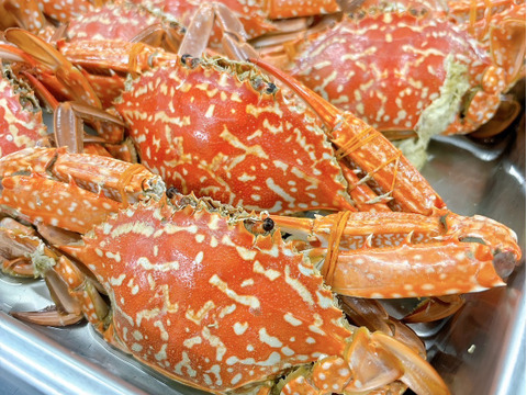 【浜名湖産】茹でガザミオス１杯約150gから300g詰め合わせて1kg