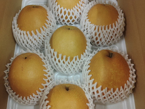 【鳥取産】王秋梨！