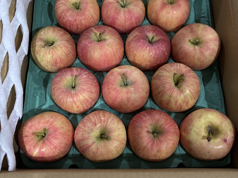 100ケース　樹上完熟　早生ふじ　やたか　ご家庭用　約5キロ