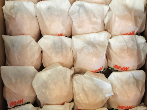 [5-6月発送]【お徳用】房州びわ 袋びわ 2.0kg