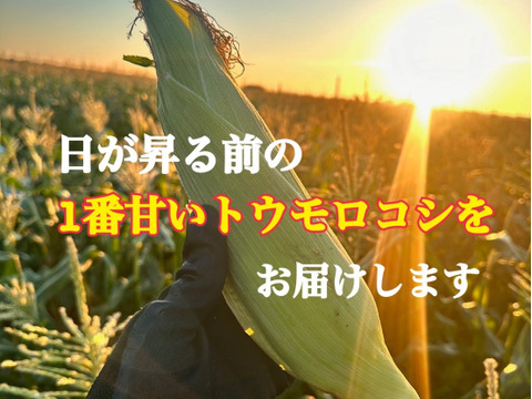 あなたはどっち派⁉️プレミアム味来vsドルチェドリーム楽しい食べ比べセット 6本入