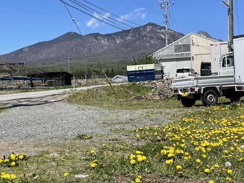 予約販売「高原の魔女」350g×2p