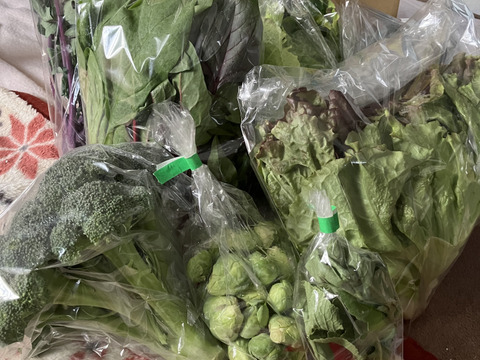 旬の野菜おまかせセット【80サイズ】