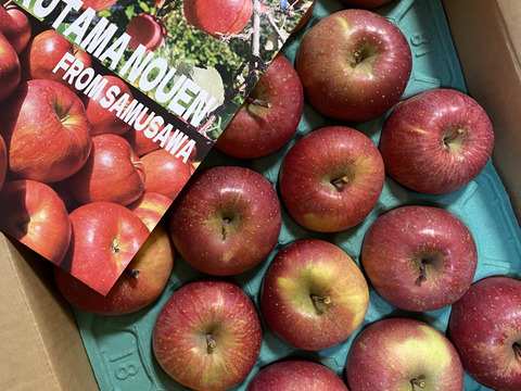 訳あり サンふじ 5キロ箱 12～18玉 長野県産