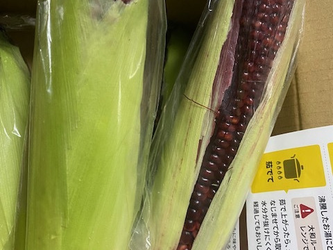 予約！人気商品！　大和ルージュ　赤いトウモロコシ5本