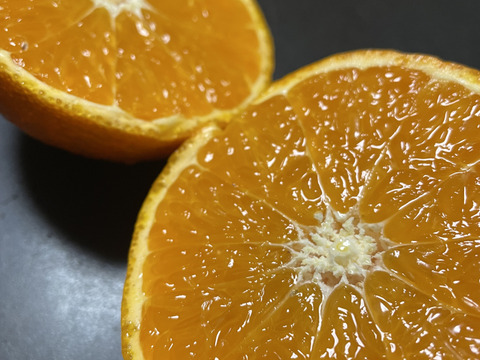 アンコールオレンジの香りがすごく良い！津之輝（希少）３キロ