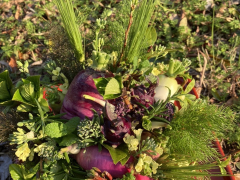 【期間限定】【春ギフト】花と野菜をミックスした ブーケ かごタイプ【カラフルなミニ野菜】【お誕生日】【開店祝い】【周年祝い】【お供え】