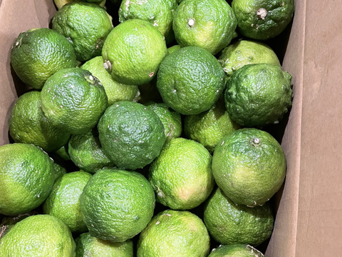 自然栽培　花柚子　柚子　ゆず　5kg