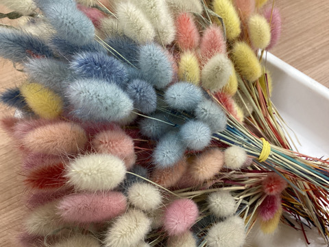 ‘‘ノウフク”カラフルラグラス100本束