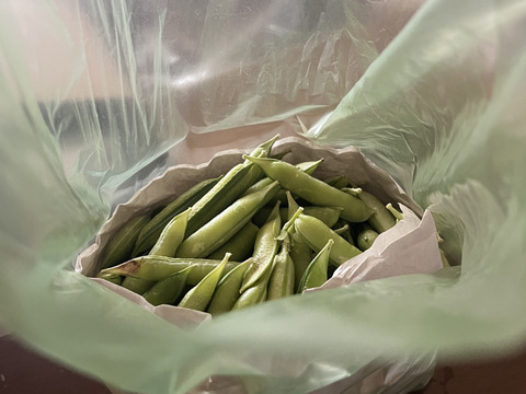 【自然栽培】グリンピースとひと味違う「うすいえんどう」(1kg)