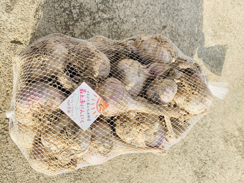 たっぷり1kg 最上伝承野菜　最上赤にんにく