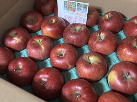 「シナノスイート」お徳用訳あり　沢山食べたい5キロコース　（18玉から20玉）　美味しさそのままスマートフレッシュ　鮮度保持貯蔵　訳あり約5キロ　ご好評販売中