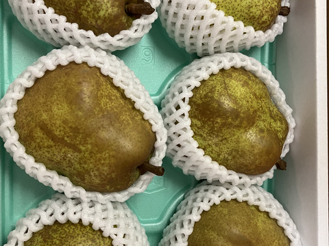 【ラフランス専業農家が贈る🍐】超大玉！山形県産ラ･フランス  3ｋｇ 6玉入り【特秀品】【冬ギフト】熨斗対応可【贈答用】