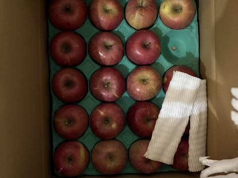 2025年産【家庭用】サンふじ 約5kg 12-23玉 超定番のりんごの王様  11月下旬以降発送予定 長野県産#NAF0B050