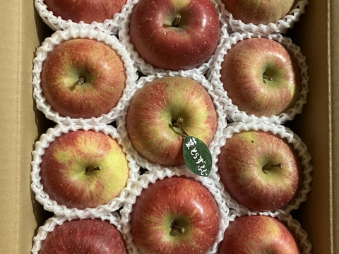 【冬ギフト】 🍎レビュー数1700件突破！！《家庭用》青森完熟葉とらずふじ８〜１２玉(約３kg)🍎ID119812