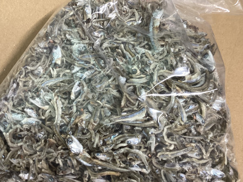 ふぞろいかえり200g【すぐ発送】【おまとめ同梱OK】