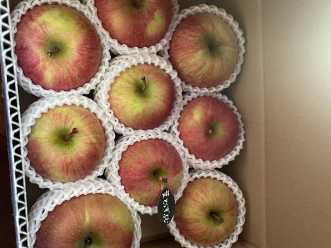 【冬ギフト】 🍎レビュー数1700件突破！！《家庭用》青森完熟葉とらずふじ８〜１２玉(約３kg)🍎ID119812