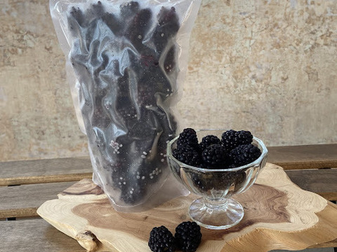 【チョコ様専用】冷凍ブラックベリー500g×3パック