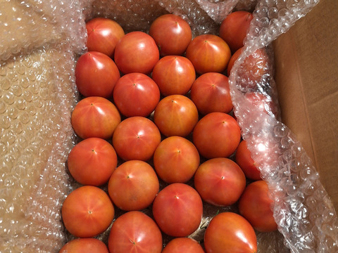 昔ながらのトマト🍅80サイズ箱詰め(3S以下玉)