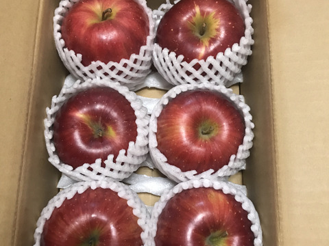 シナノスイート２キロ　6玉　収穫後冷蔵庫保管から今目覚めた