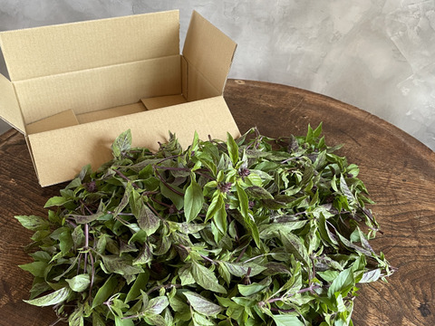 有機ホーリーバジル300g