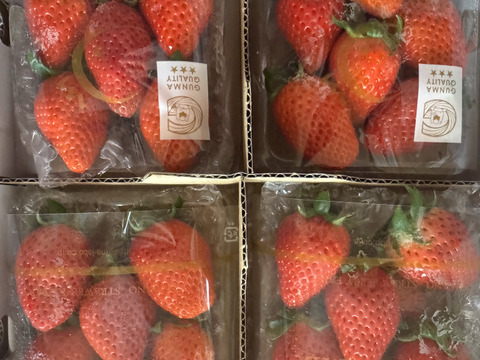 ＜卒入学や就職などお祝いのギフトにもおすすめ♪＞味が濃厚でひときわ甘い【やよいひめ】群馬県産完熟いちご「やよいひめ」270g×4パックセット🍓群馬県いちご品評会W受賞！