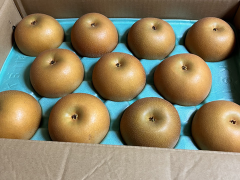 甘いのに後味サッパリ！あきづき(5kg)