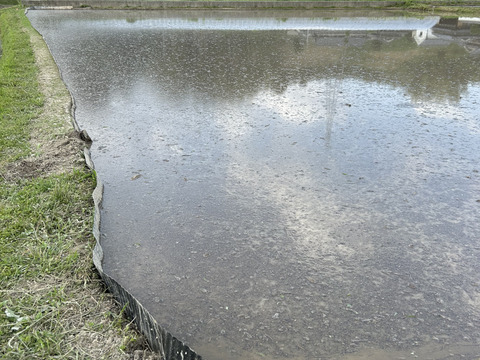 奈良県五條市産／柿名産地　ひとめぼれ米🌾