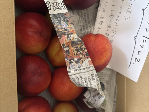 ※家庭用※ジューシーで甘酸っぱい！！夏にピッタリな『ネクタリン』2kg