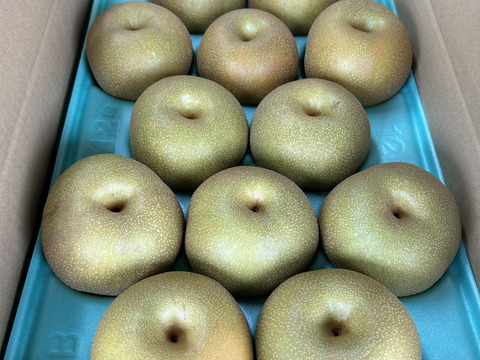 【贈答用】大玉  幸水 5kg 9〜10玉入り