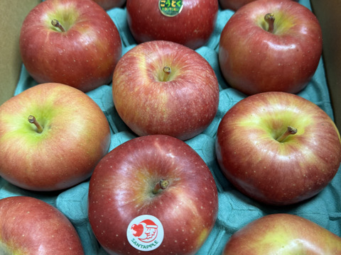 近年大人気！　蜜が入りやすく、パインの様な味わい　“こうとく”　家庭用　約3キロ　限定再販売！