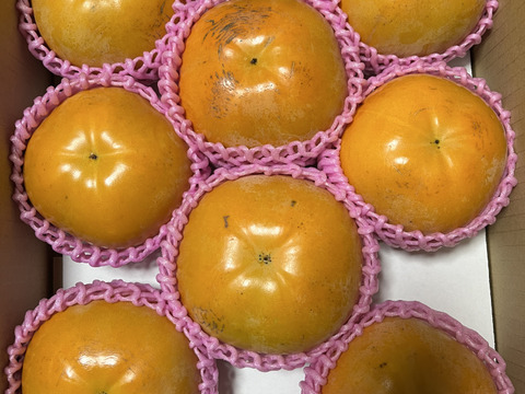 シャキシャキプチプチ食感！！デカうま！！愛媛県中島産【甘平】秀品4L5kg×2箱 熨斗対応】シャキシャキ食感、糖度18度越えの激甘柿、太秋柿