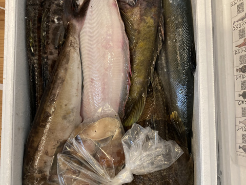 竹コース【知床らうす直送】船頭にお任せ！鮮魚ボックス（詰め合わせ) 海鮮セット
