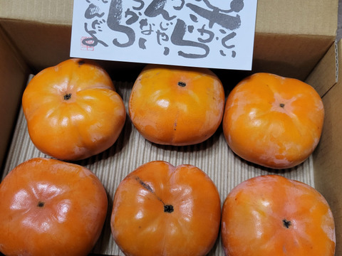 【冬に食べる】幻の柿 次郎柿！ワケありお徳用　中玉サイズ12〜14個入（3ｋｇ）