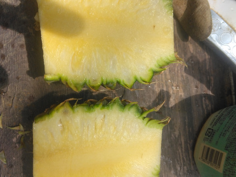 石垣島蜜蜂農園のスナックパイナップル3玉3キロ