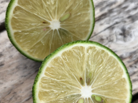 初物❗箱入りレモン息子(栽培期間中農薬不使用・有機肥料・ノーワックス)皮まで食べて❗