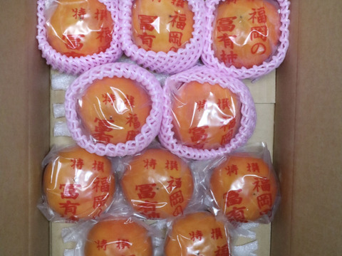 冷蔵柿（富有柿）10個入り×２箱　Lサイズ 　福岡県久留米市田主丸町産