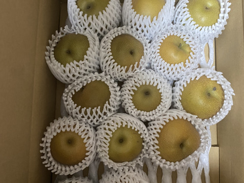 【家庭用】鳥取県の梨「新甘泉」糖度14度　約5ｋｇ