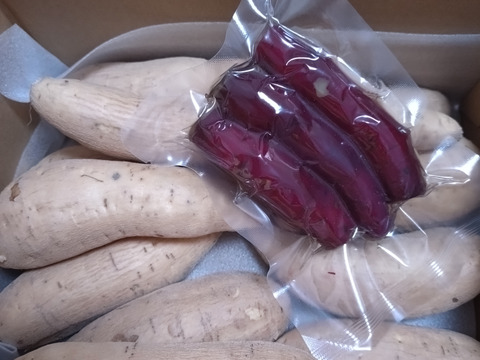 今話題の白いサツマイモ「きみまろこ」
上品な甘さとまろやかな口ざわり
2キロ入り中くらいサイズミックス