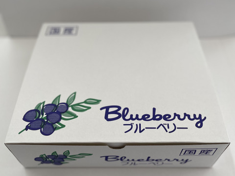 上品な甘みと香り！美しい大粒ブルーベリー　メドーラーク　※農薬不使用　（100g×4パック）