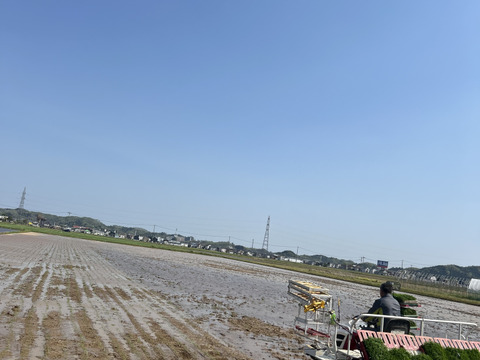 【期間限定】新米ひとめぼれ 3kg×2