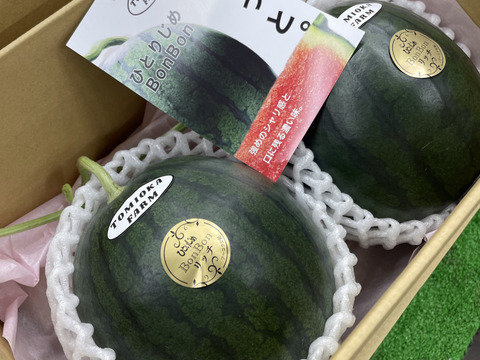 小物 bonbon シャリっと】コクある甘さ「黒」小玉スイカひとりじめbonbon2玉